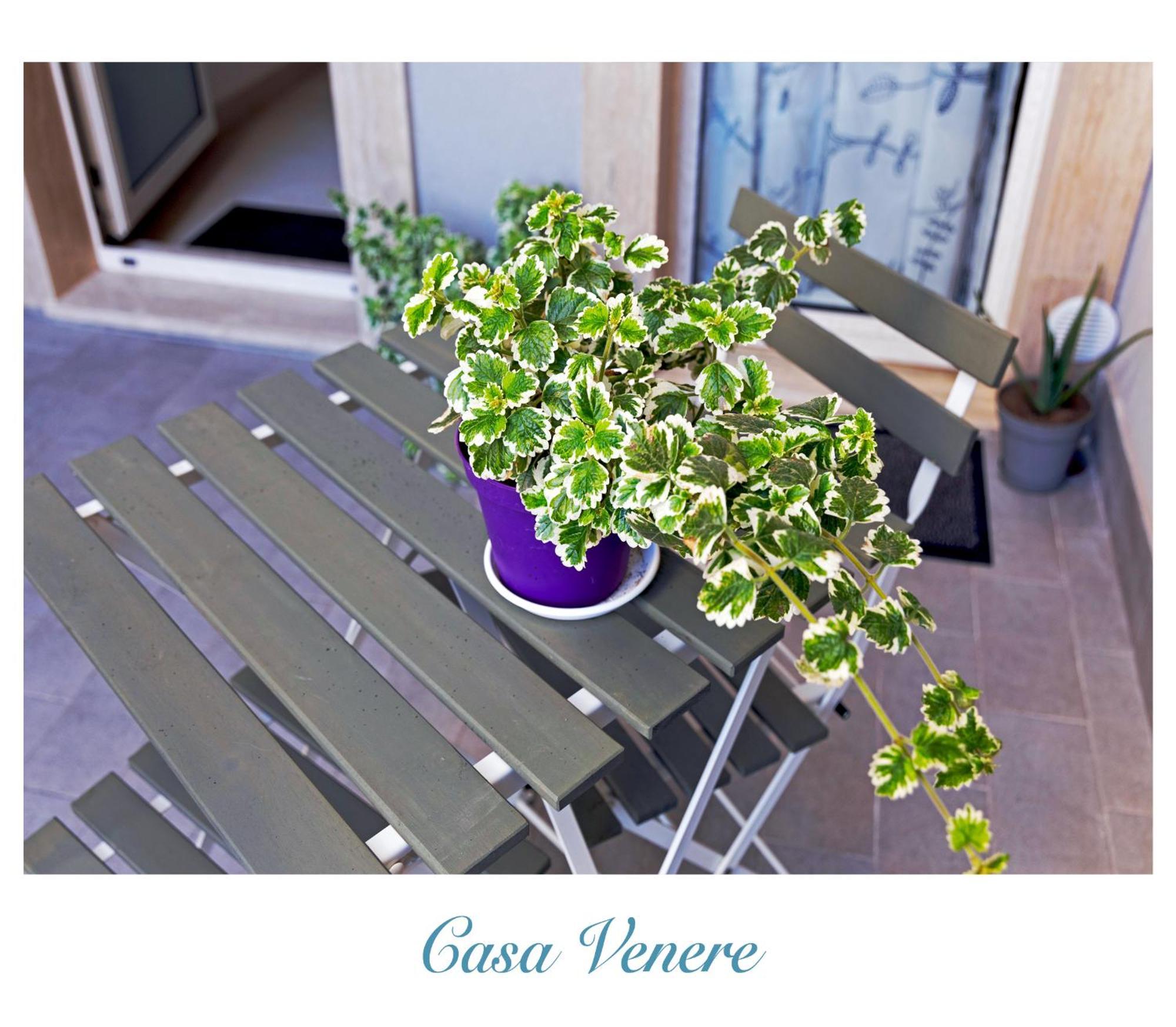 Affittacamere Casa Venere